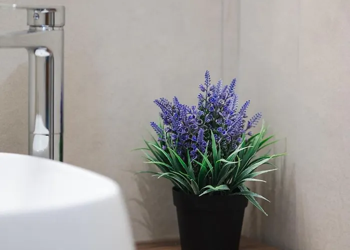 The Willows - Gozo * Għajnsielem